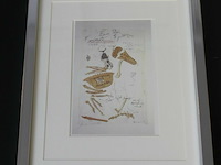 Kip archaeopterix - afbeelding 2 van  2