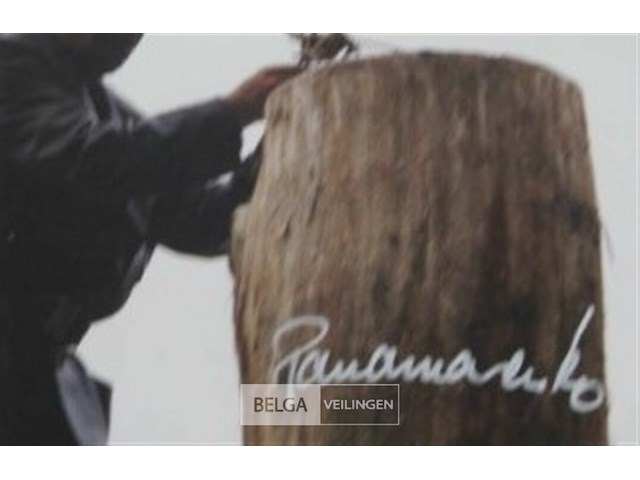 Kip - afbeelding 1 van  3