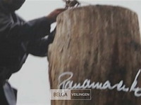 Kip - afbeelding 1 van  3