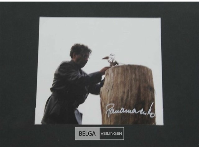 Kip - afbeelding 2 van  3