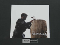 Kip - afbeelding 2 van  3