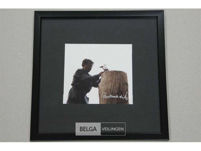 Kip - afbeelding 3 van  3