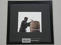 Kip - afbeelding 3 van  3