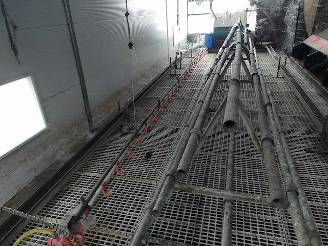 Kippenhok voor legkippen 3000 hens transportband om te verschonen + broedkast landgoed en automatische waterpomp - afbeelding 1 van  4