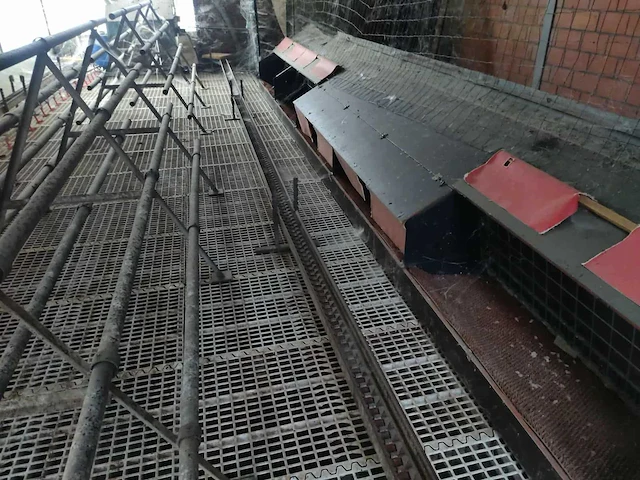 Kippenhok voor legkippen 3000 hens transportband om te verschonen + broedkast landgoed en automatische waterpomp - afbeelding 2 van  4