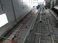 Kippenhok voor legkippen 3000 hens transportband om te verschonen + broedkast landgoed en automatische waterpomp