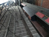 Kippenhok voor legkippen 3000 hens transportband om te verschonen + broedkast landgoed en automatische waterpomp - afbeelding 2 van  4