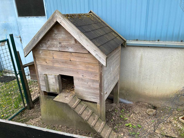 Kippenhok - afbeelding 1 van  4
