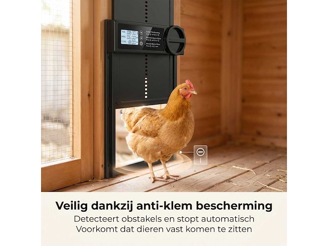 Kippenluik automatisch met timer - afbeelding 3 van  5
