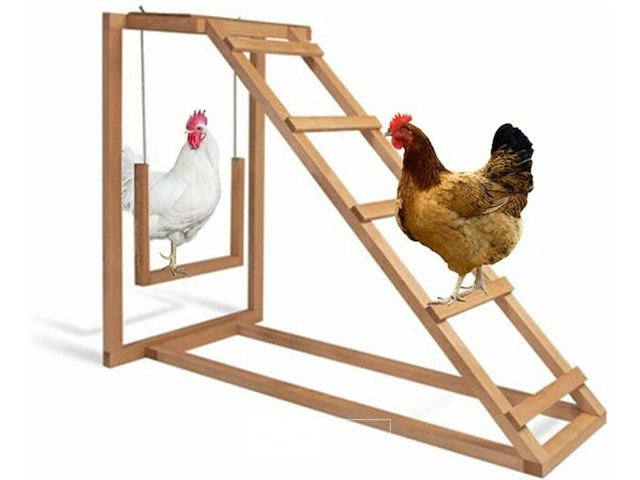 Kippenren speeltoestel 100 x 50 81 cm - afbeelding 2 van  3