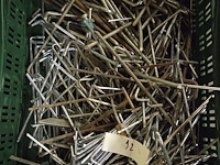 Kist met tentharingen - afbeelding 1 van  1