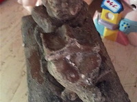 Kistje kind (steen) - afbeelding 2 van  3