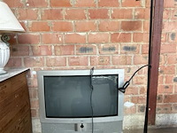Klassieke 100 hz crt-televisie van loewe systems en staanlamp - afbeelding 1 van  7