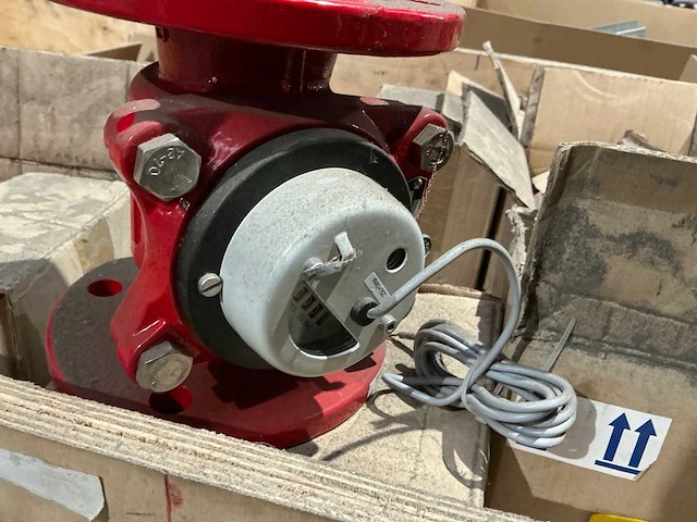 Kleine partij watertellers - afbeelding 4 van  4