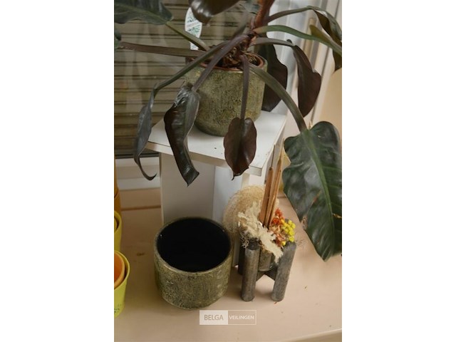 Kleine plantenzuil met plant in pot - afbeelding 1 van  6