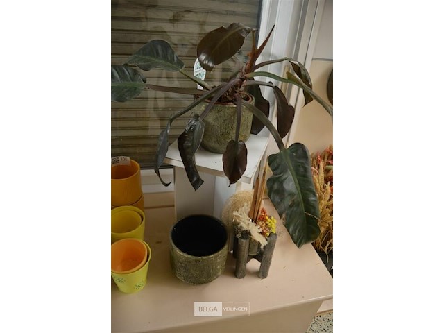 Kleine plantenzuil met plant in pot - afbeelding 2 van  6