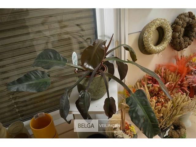 Kleine plantenzuil met plant in pot - afbeelding 4 van  6