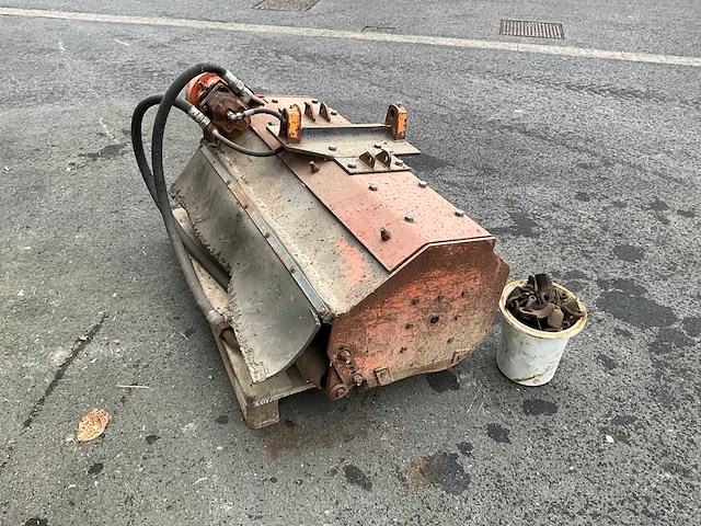 Klepelmaaier - afbeelding 10 van  13