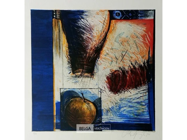 Kleurenets, vicky gruyters - afbeelding 1 van  3