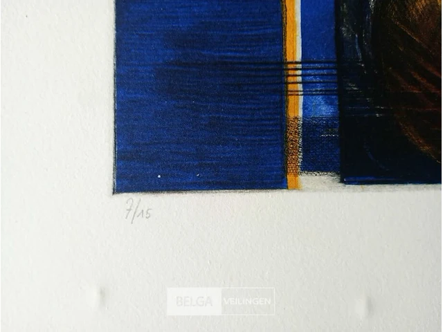 Kleurenets, vicky gruyters - afbeelding 2 van  3
