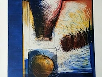 Kleurenets, vicky gruyters