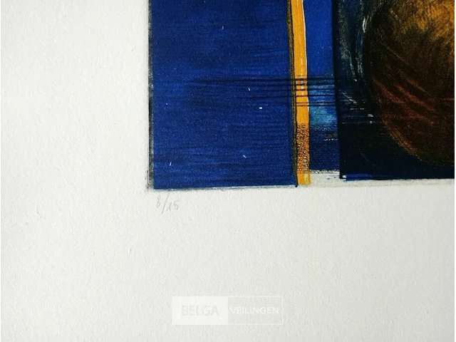 Kleurenets, vicky gruyters - afbeelding 2 van  3