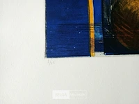 Kleurenets, vicky gruyters - afbeelding 2 van  3