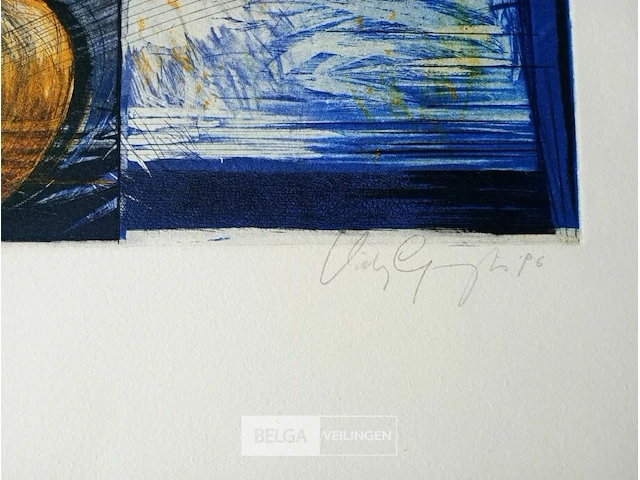Kleurenets, vicky gruyters - afbeelding 3 van  3