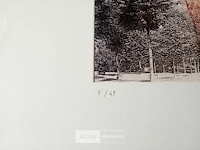 Kleurenets, vicky gruyters - afbeelding 2 van  4
