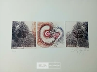 Kleurenets, vicky gruyters - afbeelding 4 van  4