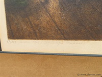 Kleurlitho, albert geudens - afbeelding 2 van  3