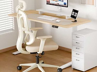Kleurrijke ergonomische stoel met cloud comfort kussen