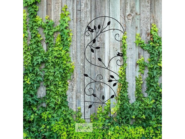 Klimplantenrek - afbeelding 3 van  7