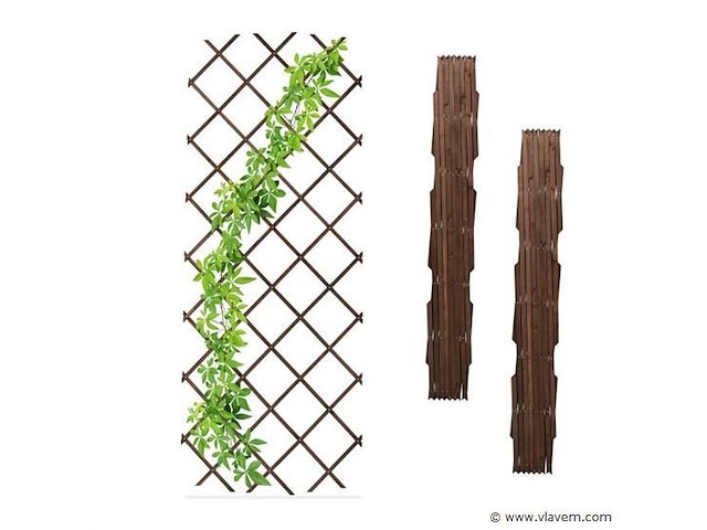 Klimplantensteun - afbeelding 3 van  4