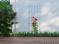 Klimplantensteun - afbeelding 1 van  4