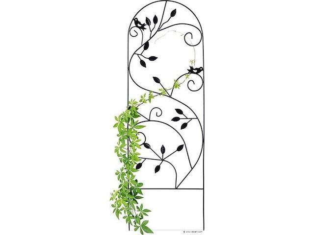 Klimplantensteun - afbeelding 1 van  7