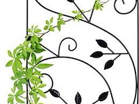 Klimplantensteun - afbeelding 1 van  7