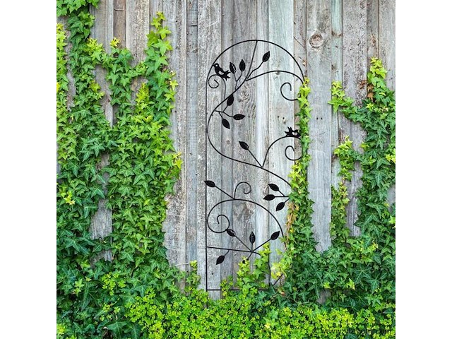 Klimplantensteun - afbeelding 3 van  7