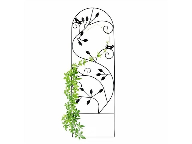 Klimplantensteun - afbeelding 1 van  5