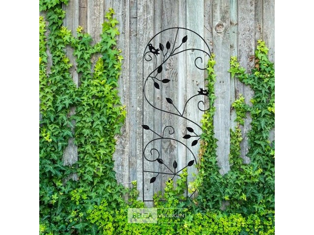 Klimplantensteun - afbeelding 2 van  5