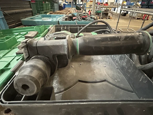 Klopboor hikoki - afbeelding 3 van  3