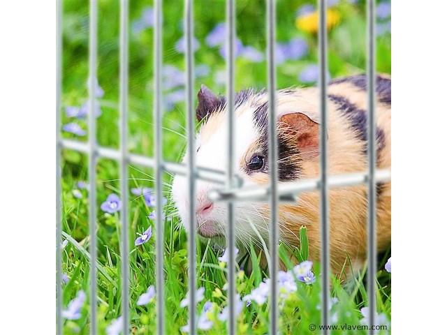 Knaagdieren kooi metaal - afbeelding 6 van  7