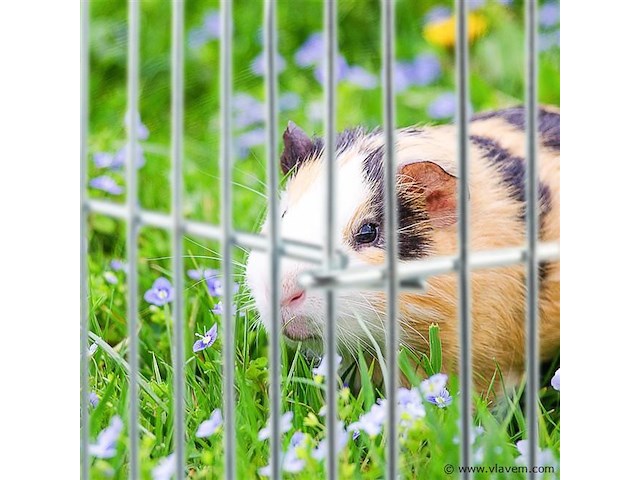 Knaagdieren kooi metaal - afbeelding 6 van  7