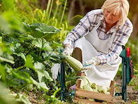 Kniebank - afbeelding 4 van  5