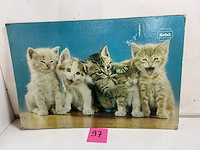 Kodak reclame foto - afbeelding 1 van  1