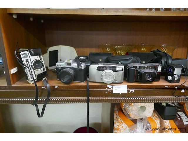 Kodakken - afbeelding 1 van  1