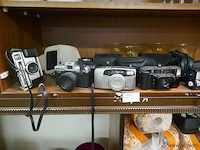 Kodakken - afbeelding 1 van  1