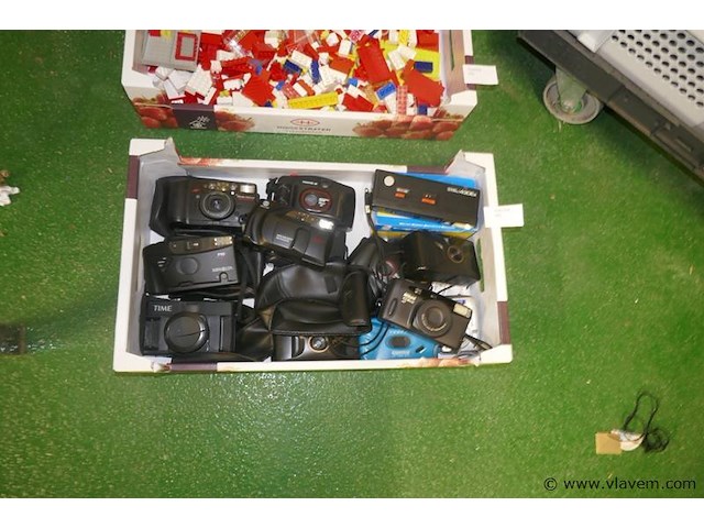 Kodakken - afbeelding 1 van  1