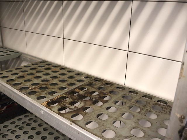 Koelcelrekken (x2) - afbeelding 7 van  11