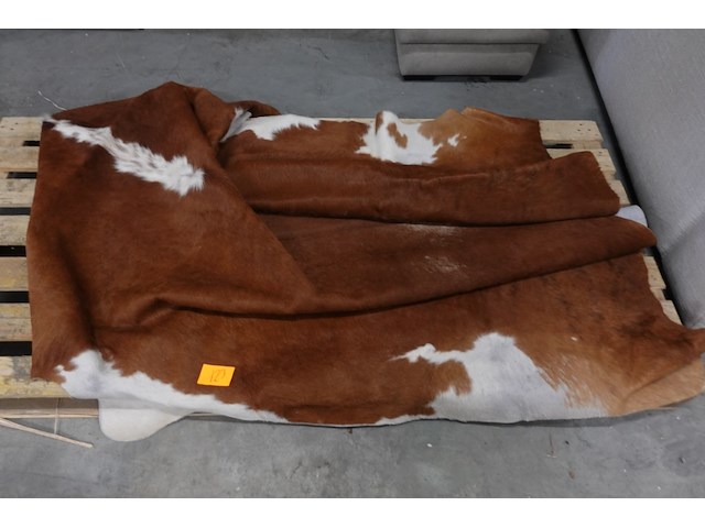 Koevel - afbeelding 1 van  2